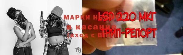 дмт Баксан