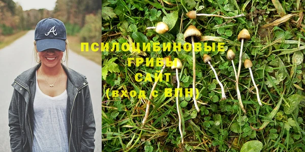стаф Белокуриха