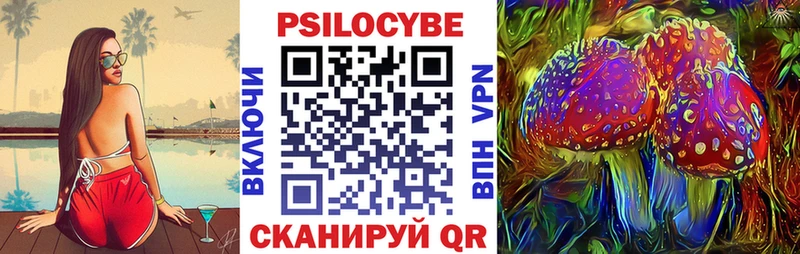 Псилоцибиновые грибы прущие грибы  нарко площадка официальный сайт  Зверево  купить наркоту 